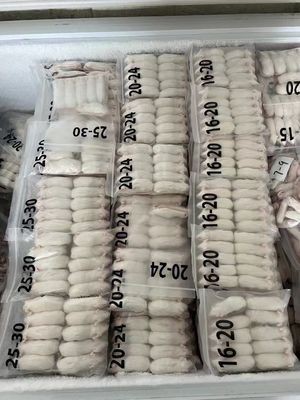 Buy 2 Year Shelf Life Frozen Rats for Adult and Frozen Shipping Method online manufacture