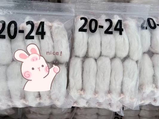 Buy Hopper Frozen Rats Rodents Small Weaner Pinkie For Snake Lizard online manufacture