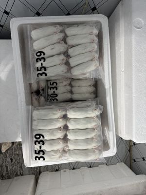 Bon prix 50/Pack Rats d'alimentation en vrac Souris arctiques Petit rat pour les coqs Aigles Faucons en ligne