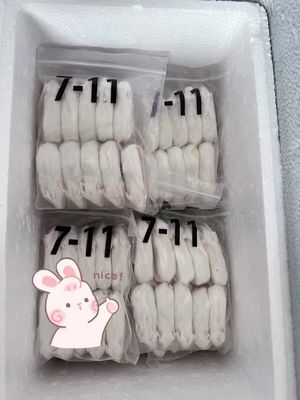 Bon prix Souris arctiques nouvellement nées Raton gros congelé Souris d'alimentation en vrac Régime de protéines pour reptiles en ligne