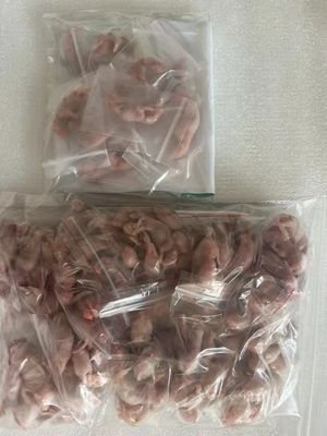 Good price Thawed Frozen Snake Food Pinkies Mice Rodent Large Live Feeder online