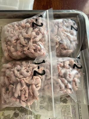 Good price Herpetoculturists Reptiles Snake Food Pinkies Fuzzy Live Mice For Ball Python online