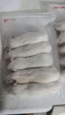 Good price Thawing Frozen Mice And Rats Weaner For Snakes Reptiles 50g online