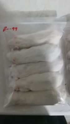 Good price High Protein Flash Frozen Rats Thawed Rodents Order Online 20g online