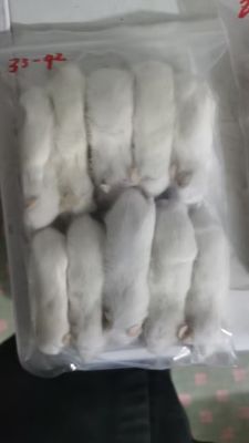 Good price Medium Weaned Arctic Mice Frozen Rats Rodents In Bulk online