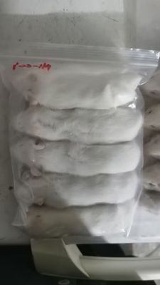 Good price High Protein Frozen Rats Large Weaner Reptile Food For Carnivorous Animals online
